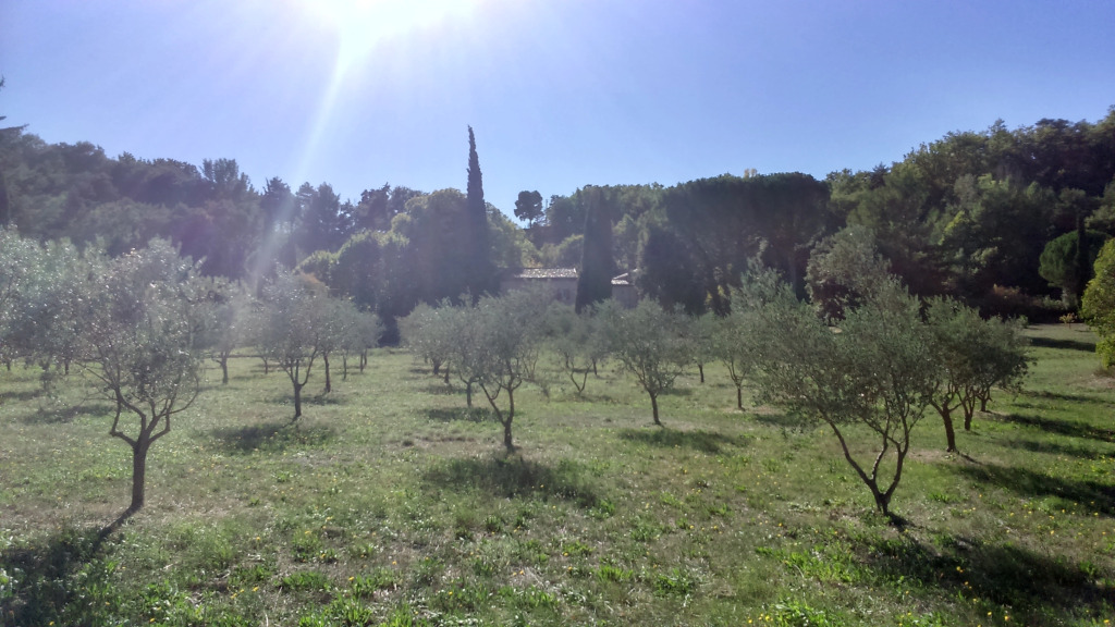Гостевой Дом Mas de Cocagne en Provence
