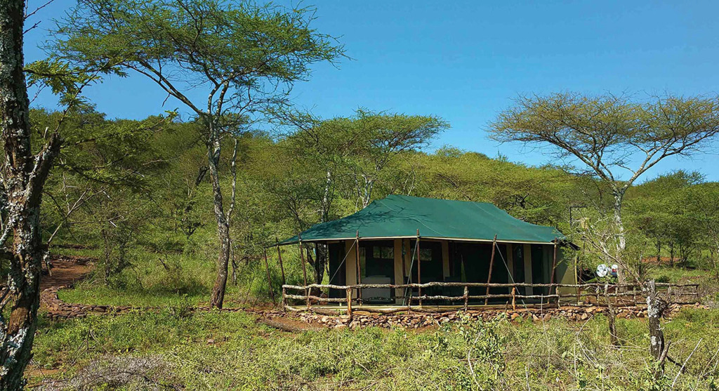 Wellworth Ole Serai Luxury Camp - Moru Kopjes
