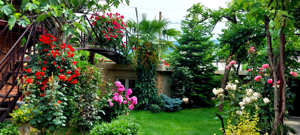GREEN GARDEN