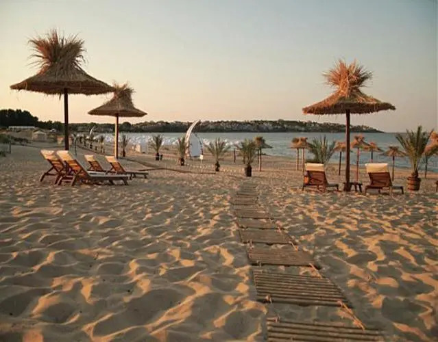 Отель Paradise Dune and Gardens Green Life