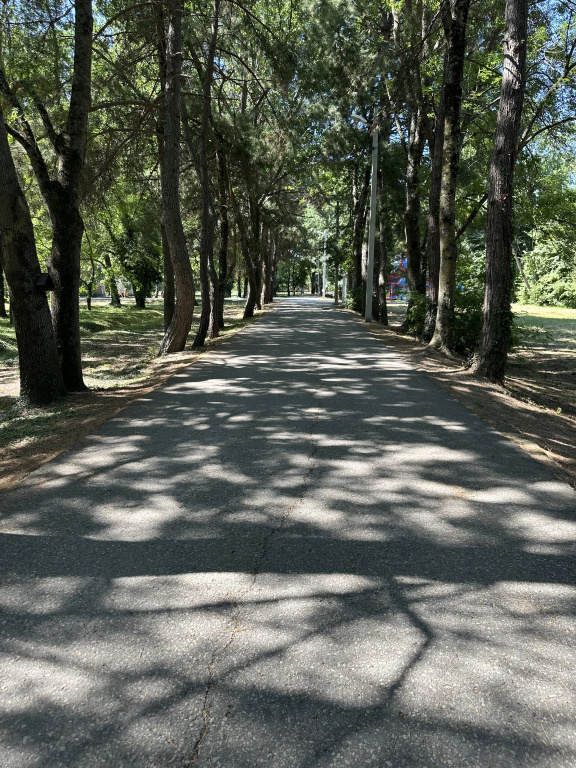 Отель Атлас
