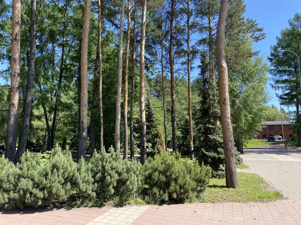 Отель Сибирь Хаус