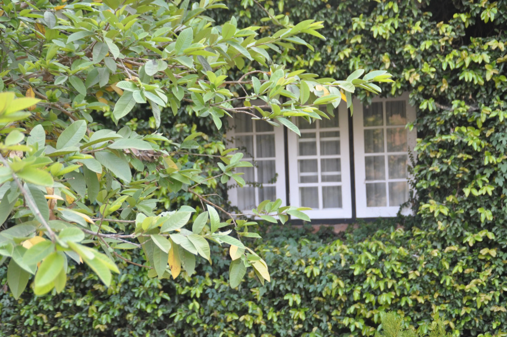 Kalaw Heritage Hotel since 1903