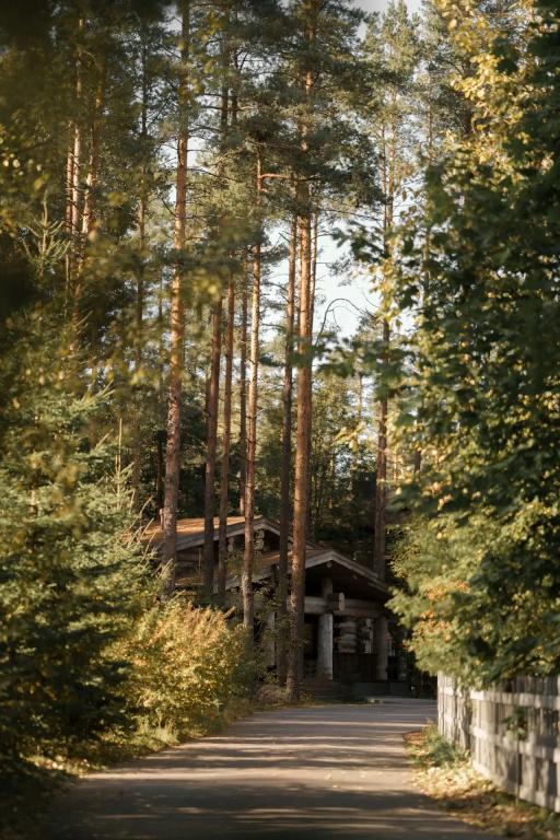 Царство-Королевство