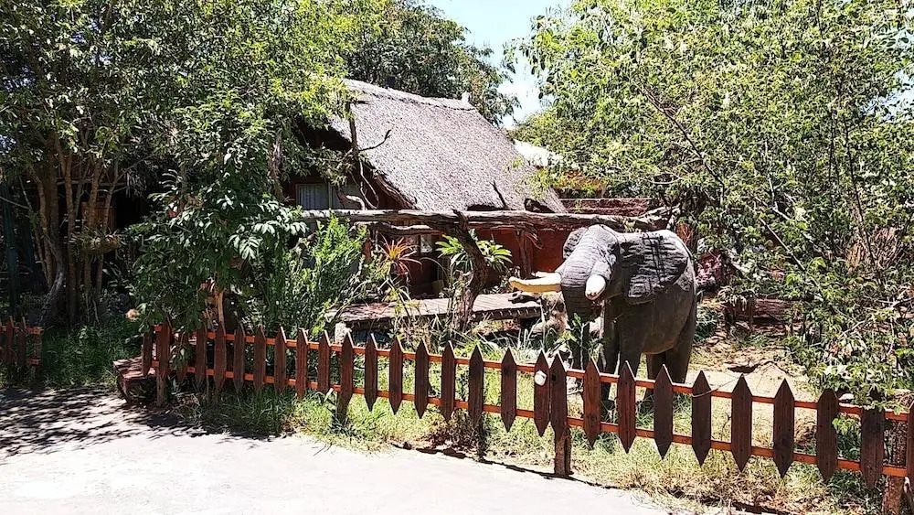Elephant Trail
