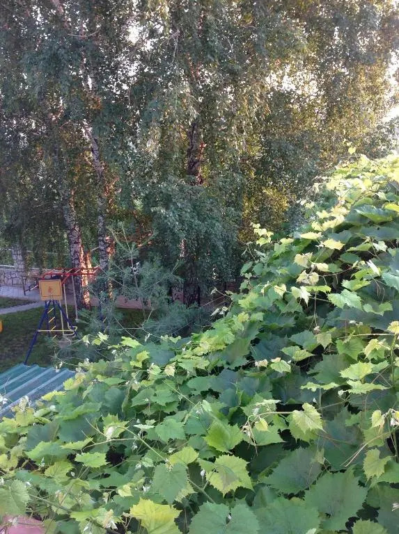 Гостевой дом Vaviland