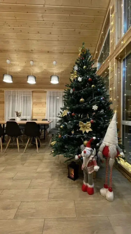 Частный дом в ДНТСН Зелёный Бор на улице Лесной 6