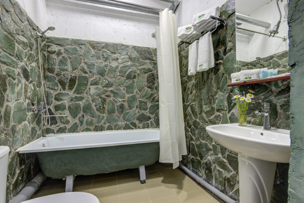 Отель Olive Ala-Archa Hotel & SPA