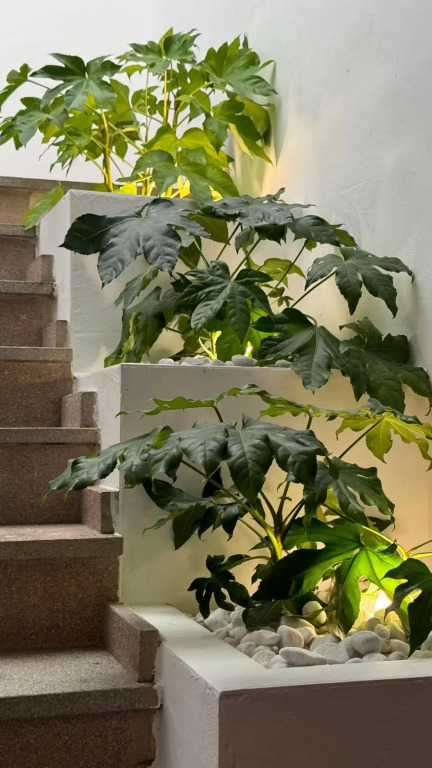 Hotel La Fuente