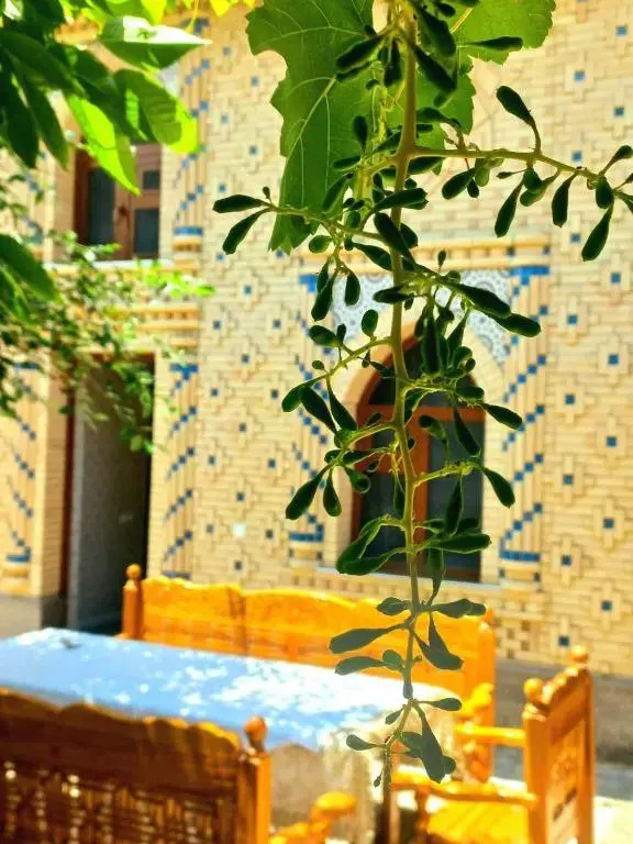 Хостел Colibri Traditional Hostel