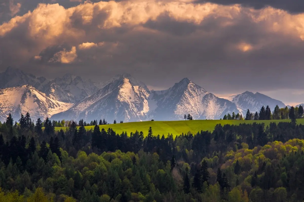 Górski Eden