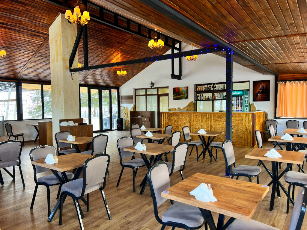 Отель Travel Inn Bakuriani