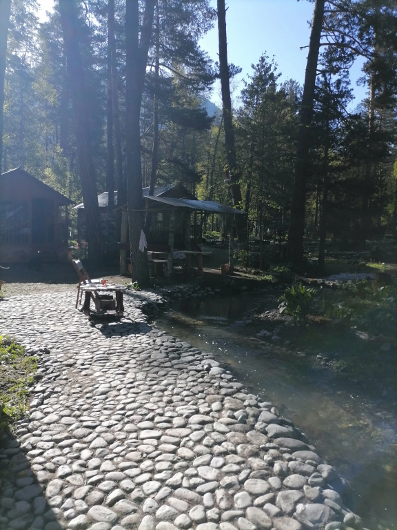 Шале Лес хрустальной песни