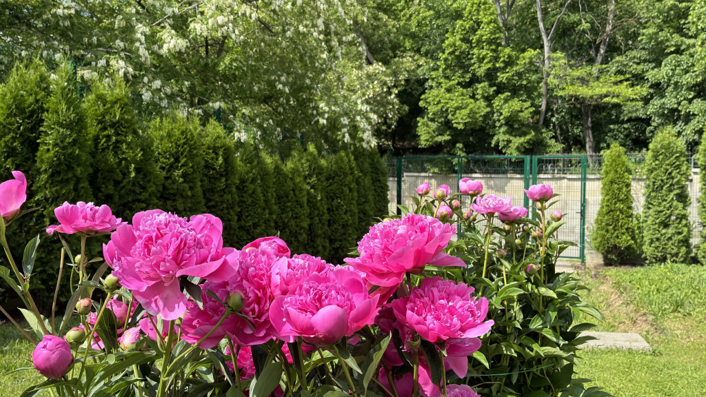 Частный дом Семейный в центре Кисловодска