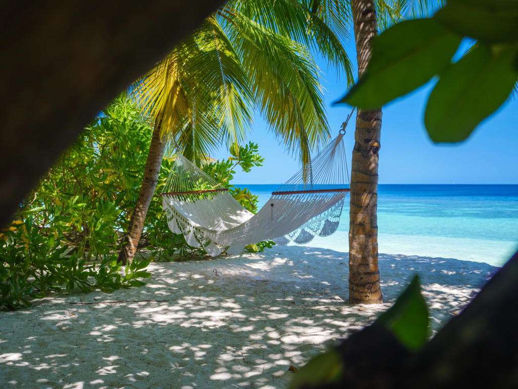 Отель V Villas Maldives at Mirihi - MGallery Collection