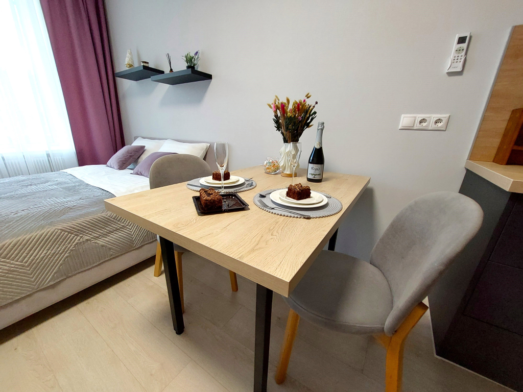 Nice Studio Flat