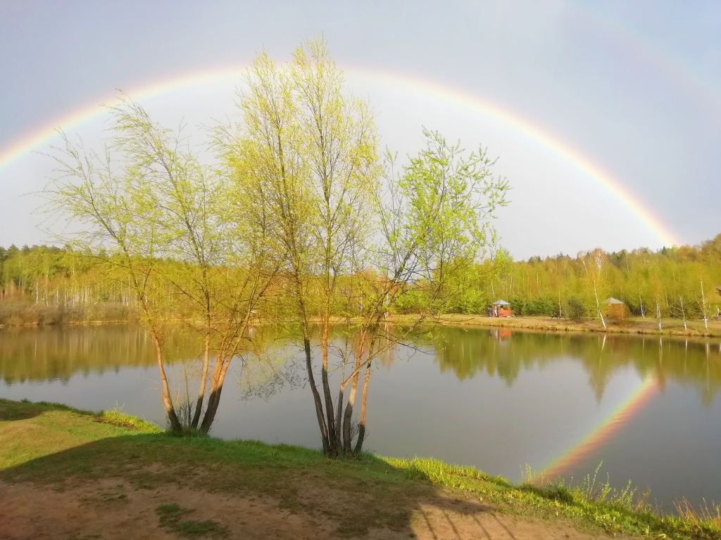 База отдыха Загородный рыболовный клуб Литвиново