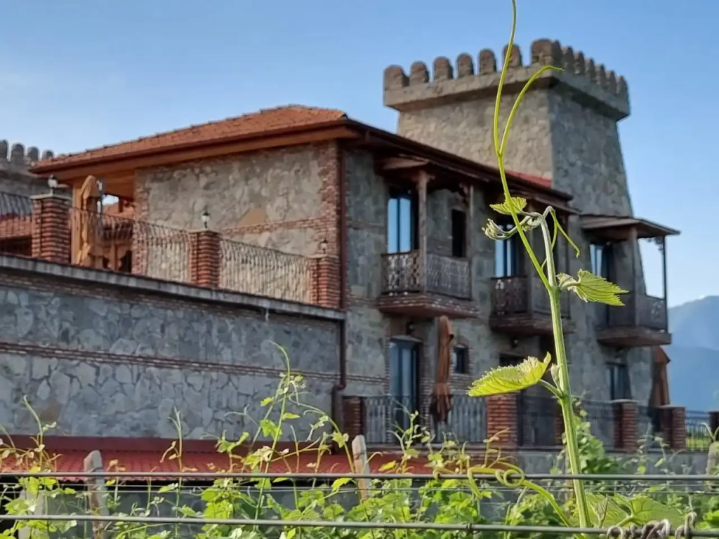 Отель Chateau Davitiani