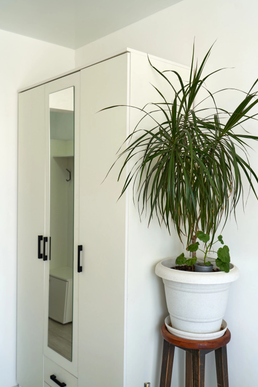 Sevastopol-Apartment-апартаменты у моря Фиолент
