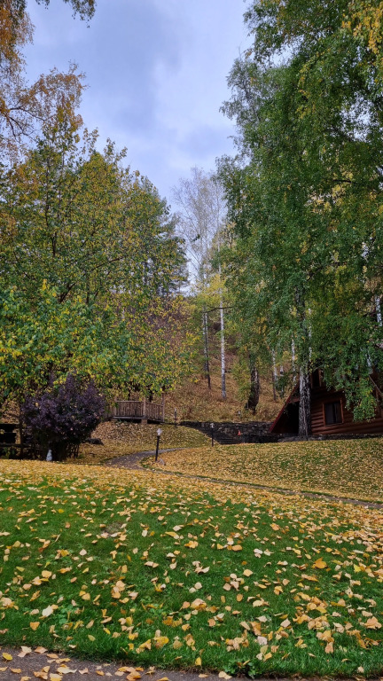 Меблированные комнаты Каменный Цветок