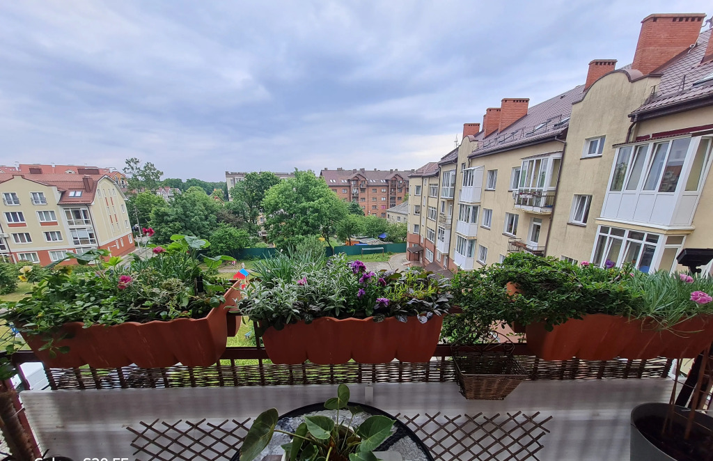 Квартира на улице Шаманова 4
