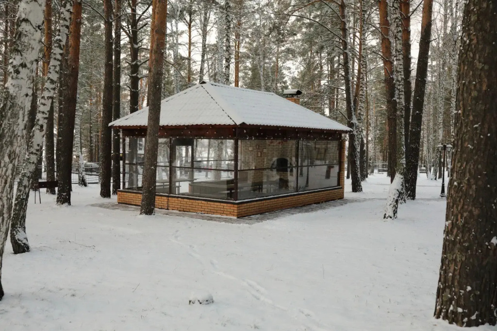 Лесной