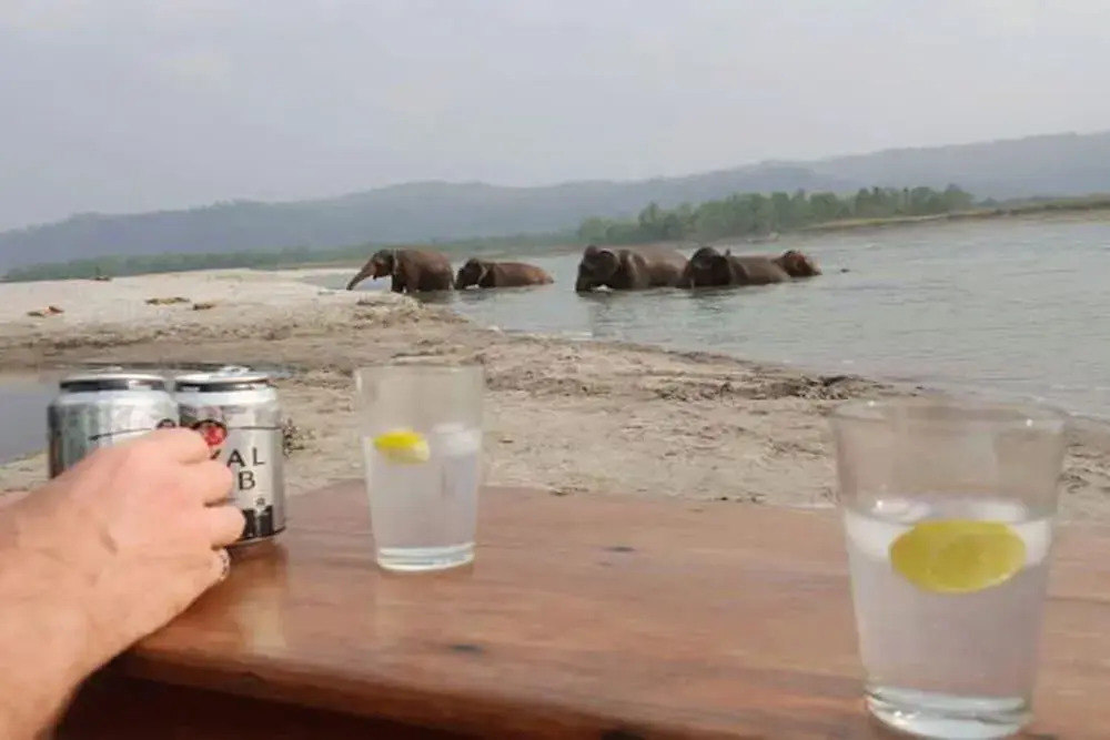 Tigertops Elephant Camp Camping