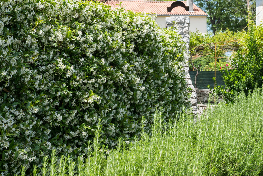 Unique Antistress Oasis Villa Antiqua