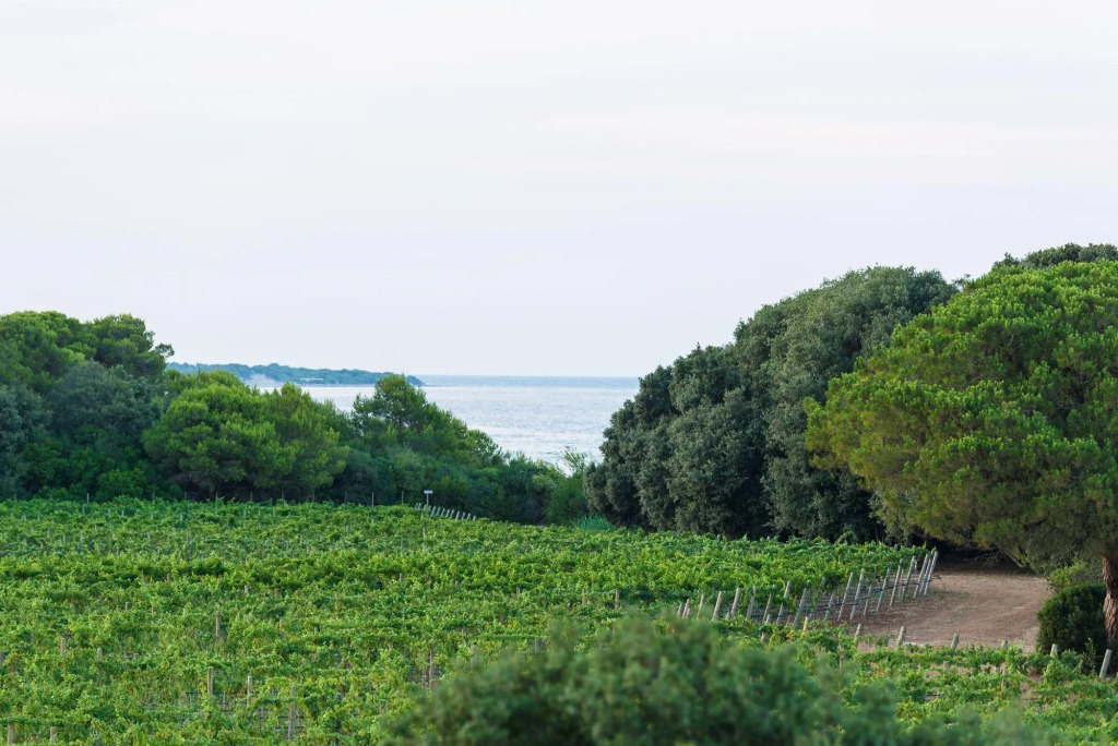 Masseria Mongiò dellElefante