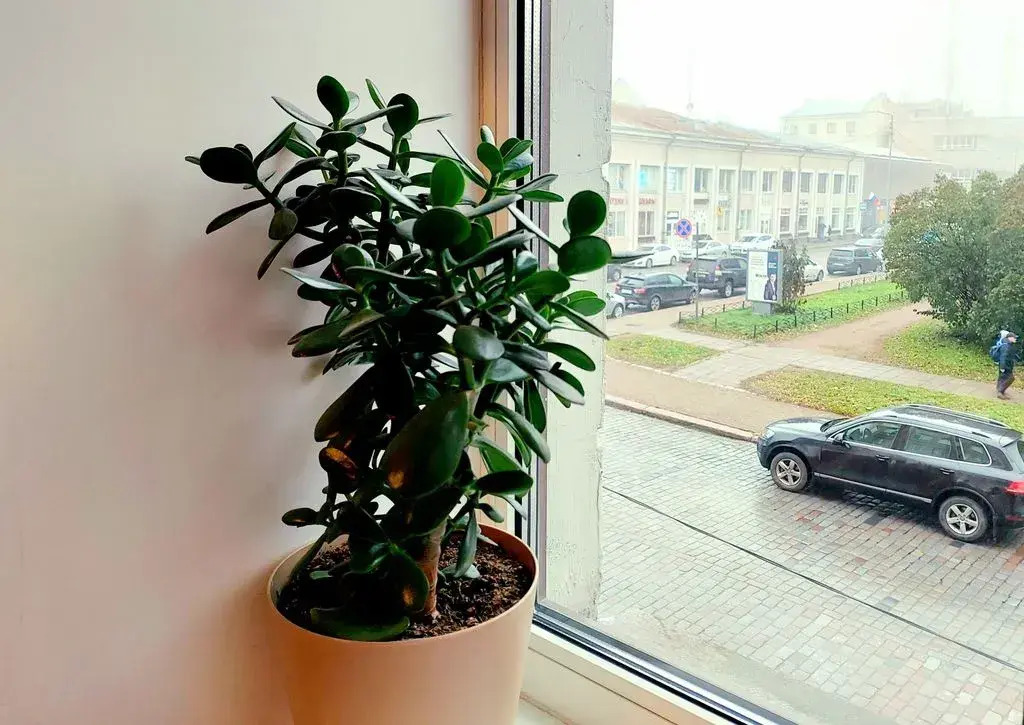 Квартира в Финском Доме возле Красной Площади и Библиотеки Аалто