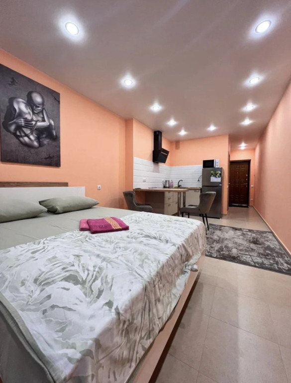 Квартира студия 30 м² 25/25 этаж