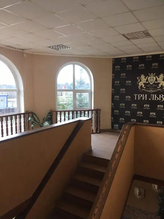 Три Льва