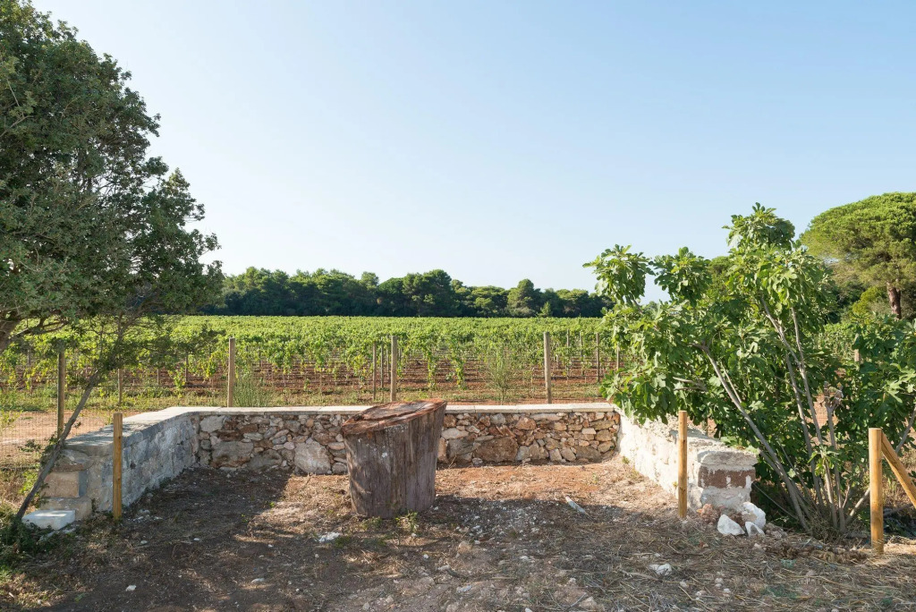 Masseria Mongiò dellElefante