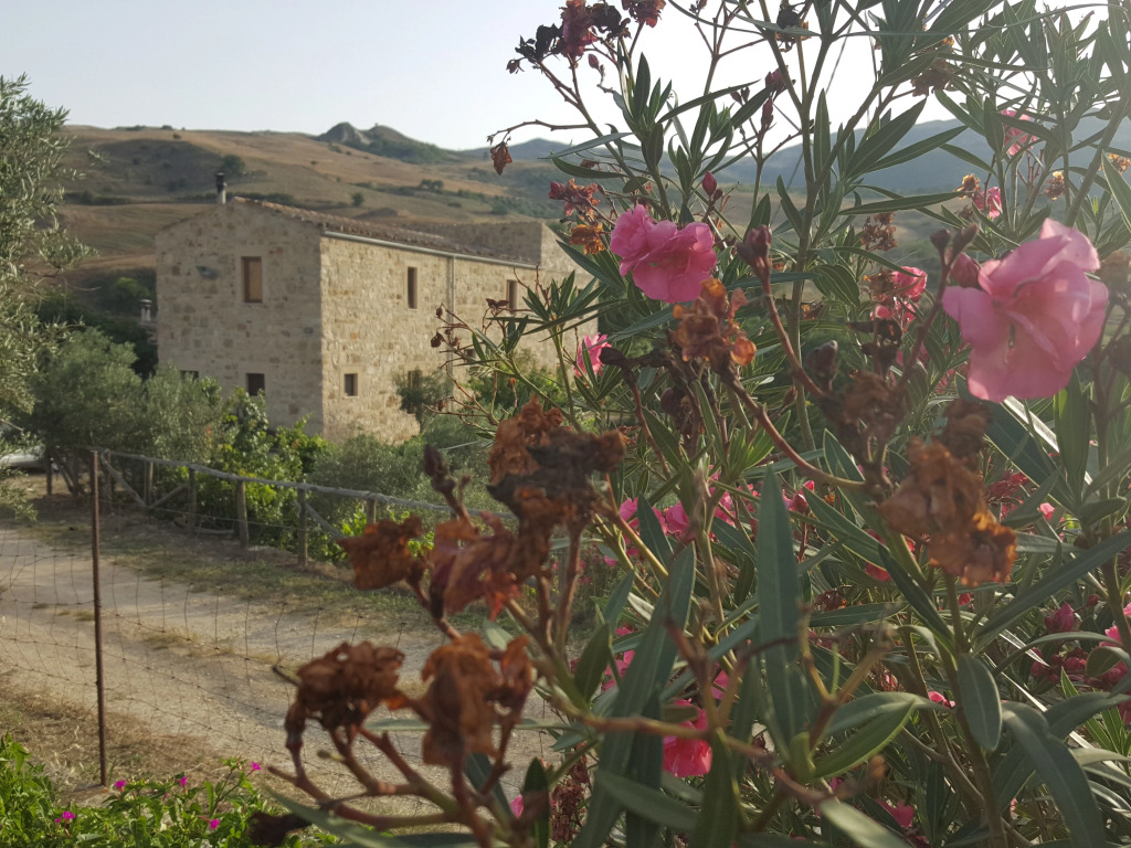 Agriturismo Casalvecchio