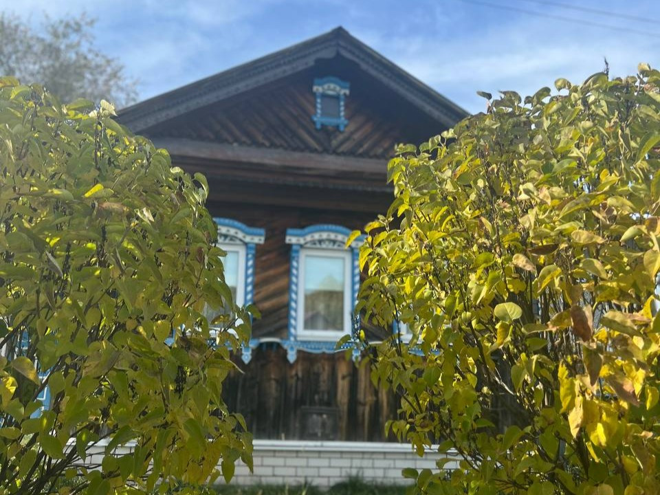 Частный дом Светлица