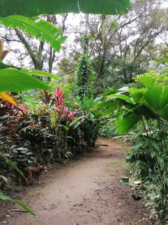 Кемпинг Rio Agujitas Eco Farm and Tours