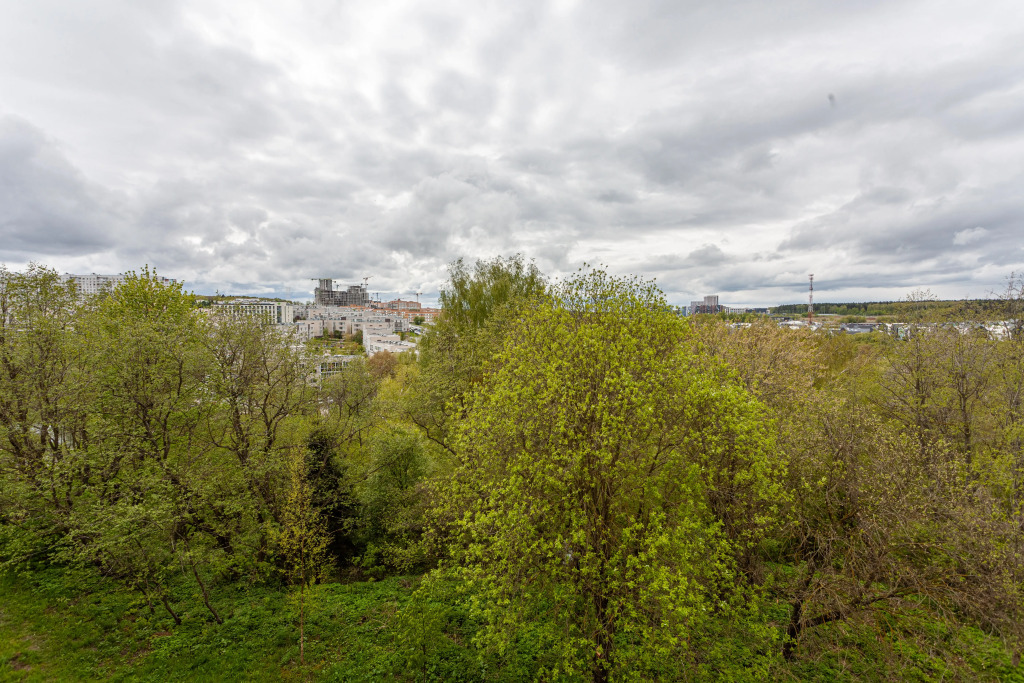 Квартира Жемчужная