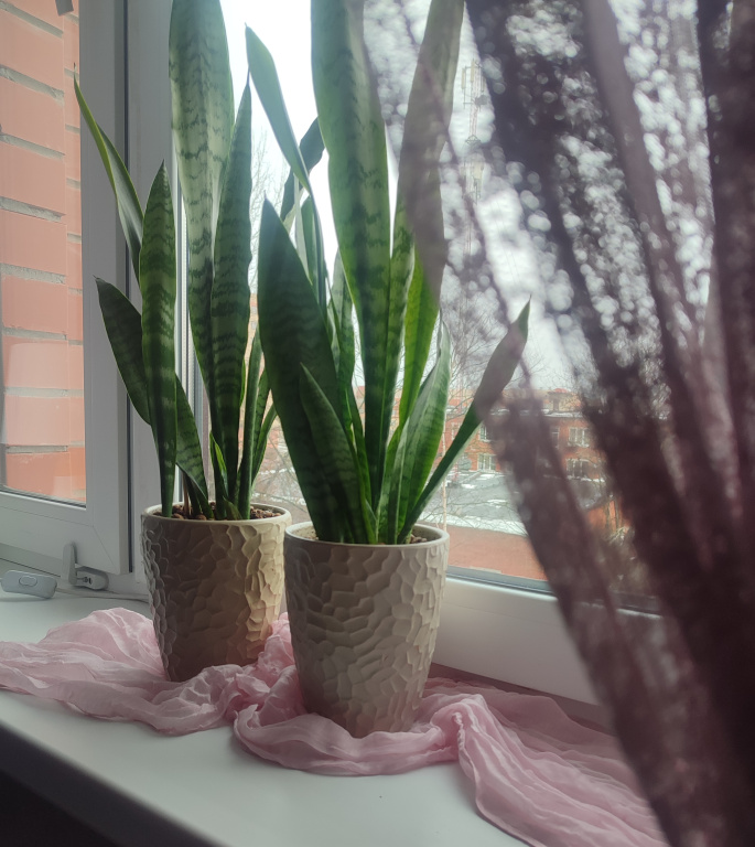 Квартира Уютная квартира