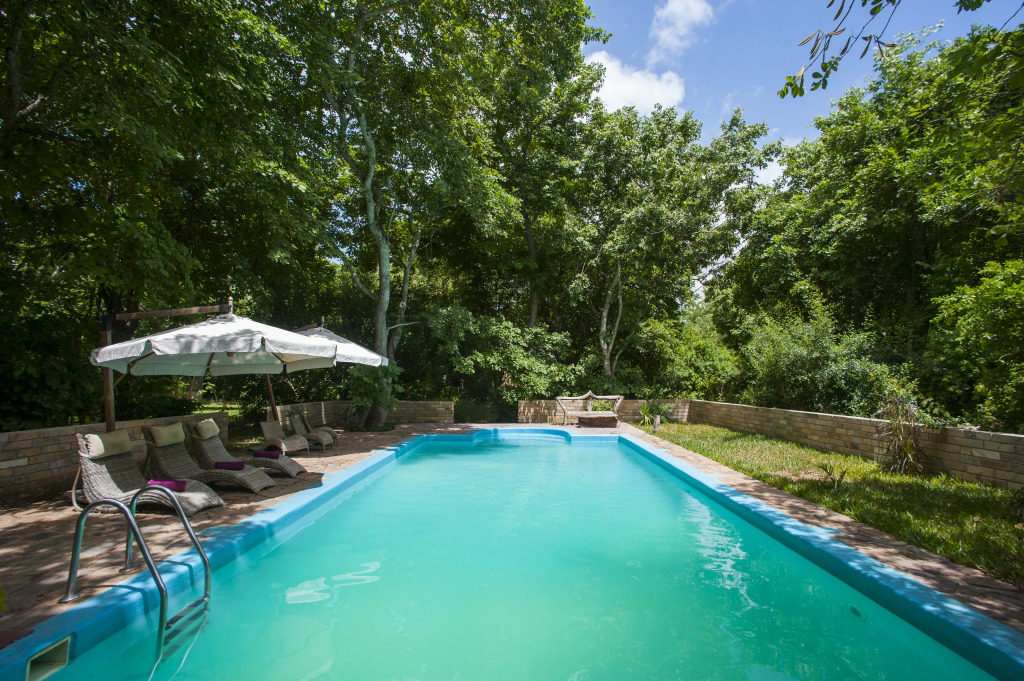 Отель Selous Kinga Lodge