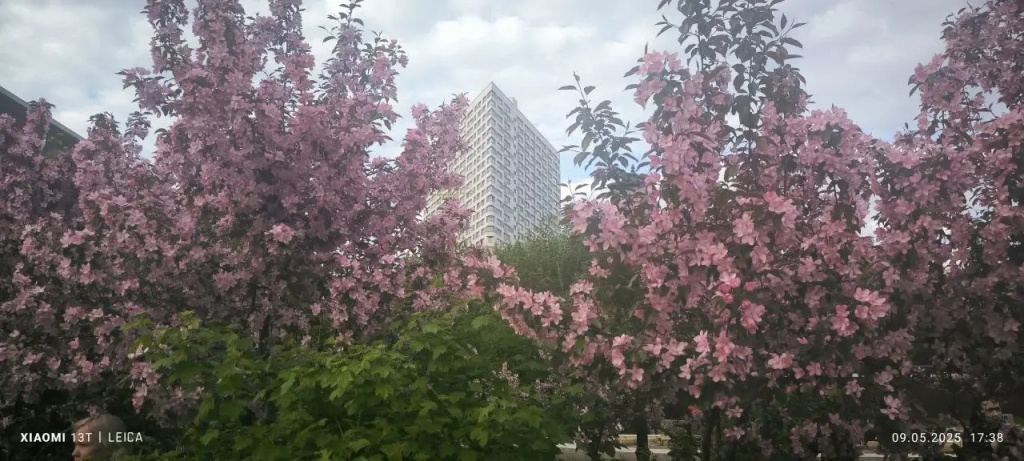 Апартаменты Небесная Высота в Центре Города