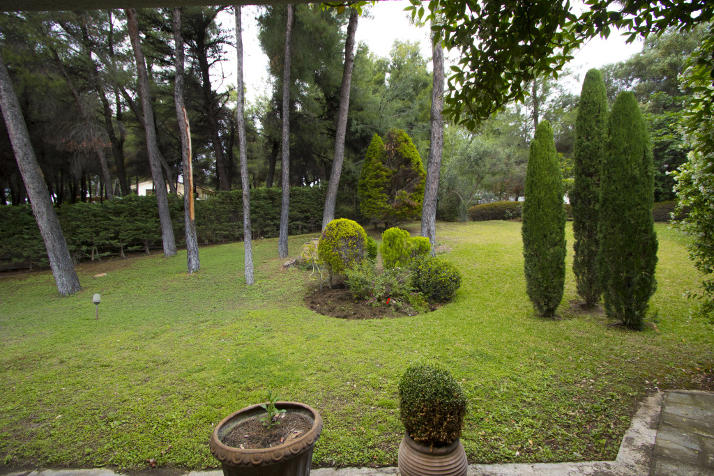 Вилла Araucaria Shared Pool Sani