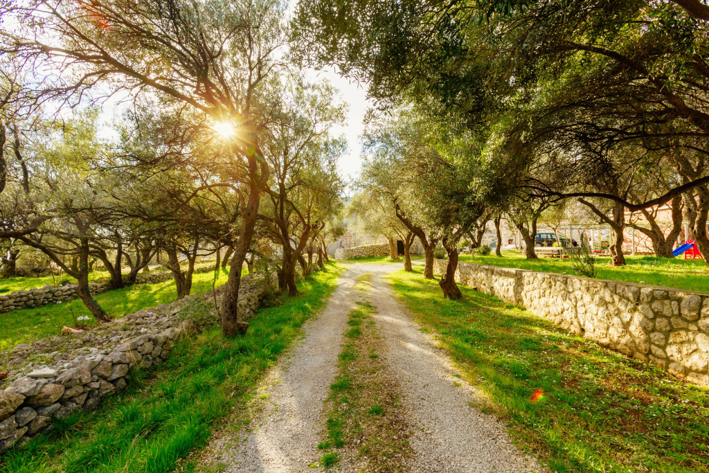Апартаменты The Olive Paradise