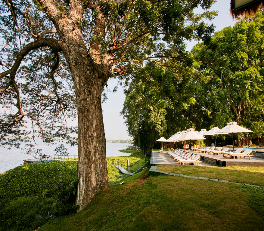 EKHO Safari Tissa