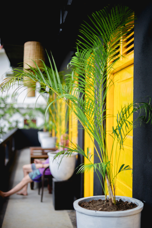 Хостел Sugar Weligama