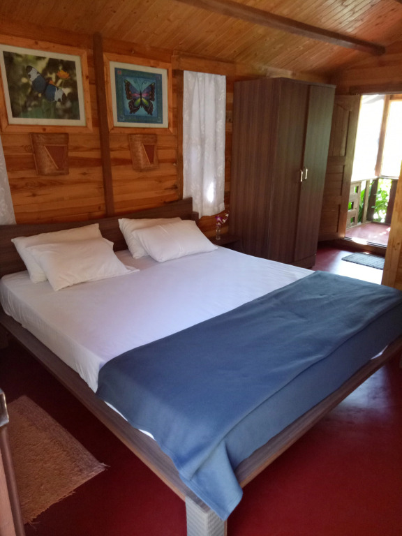 Отель Blue Planet Wellness
