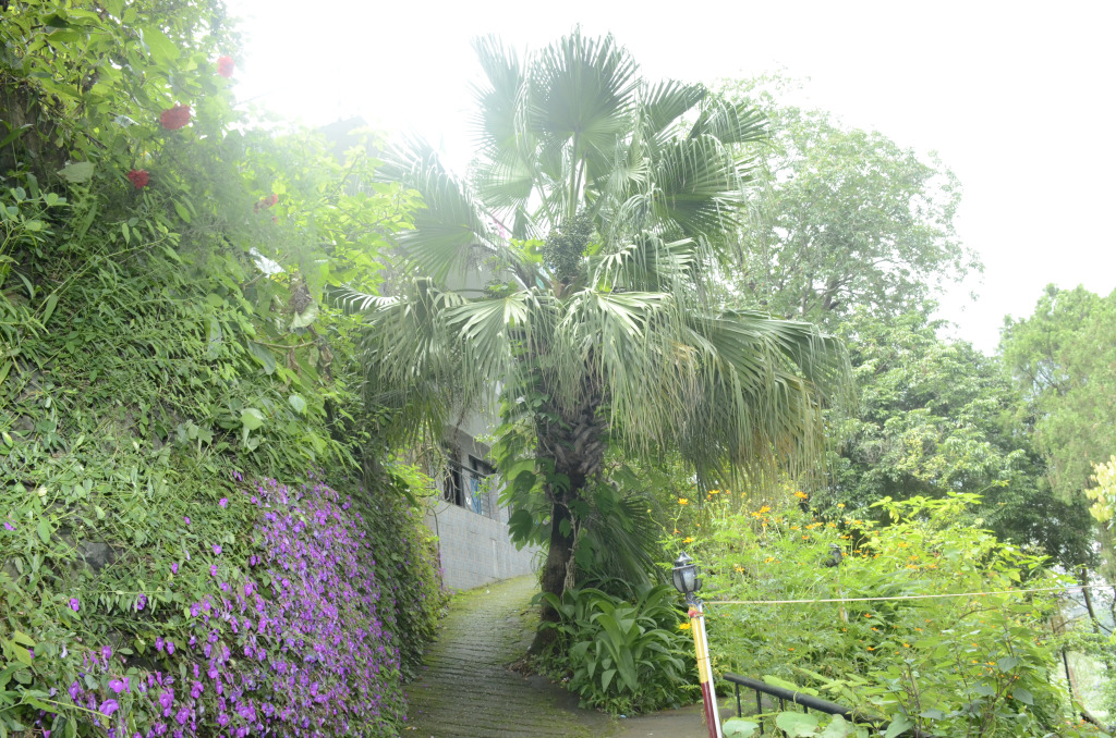Гостевой Дом Lake Retreat Bhimtal