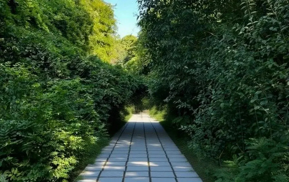 Отель Апсны