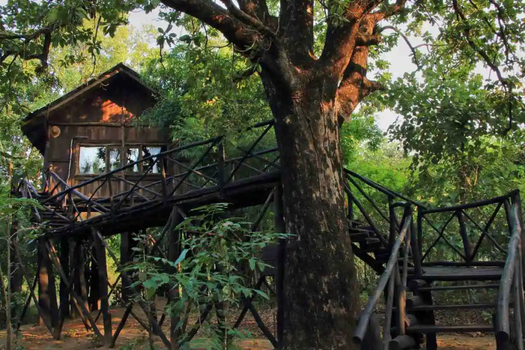 Жилое Помещение Pugdundee Safaris - Tree House Hideway