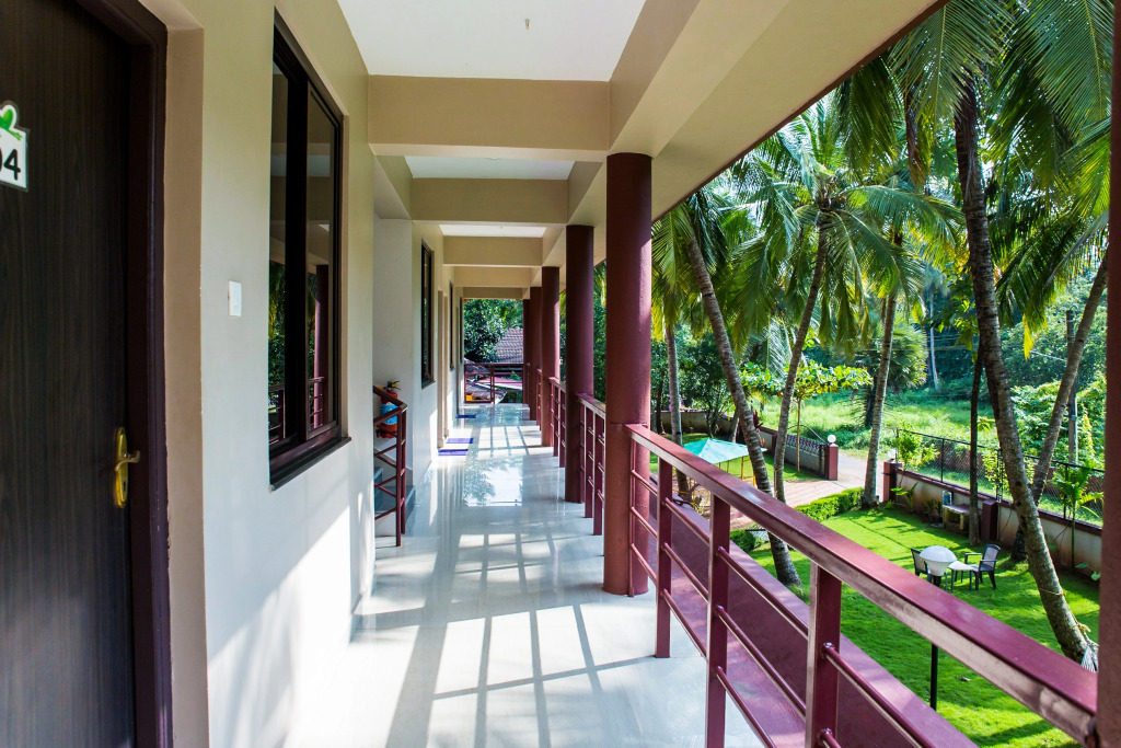 Lazy Frog Guest House