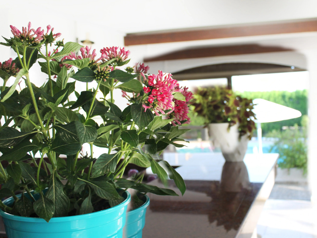 Апартаменты BeachFront Holiday